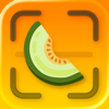 Honeydew: Capture Recipes