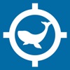 Ahab: Crypto Whale Hunter icon