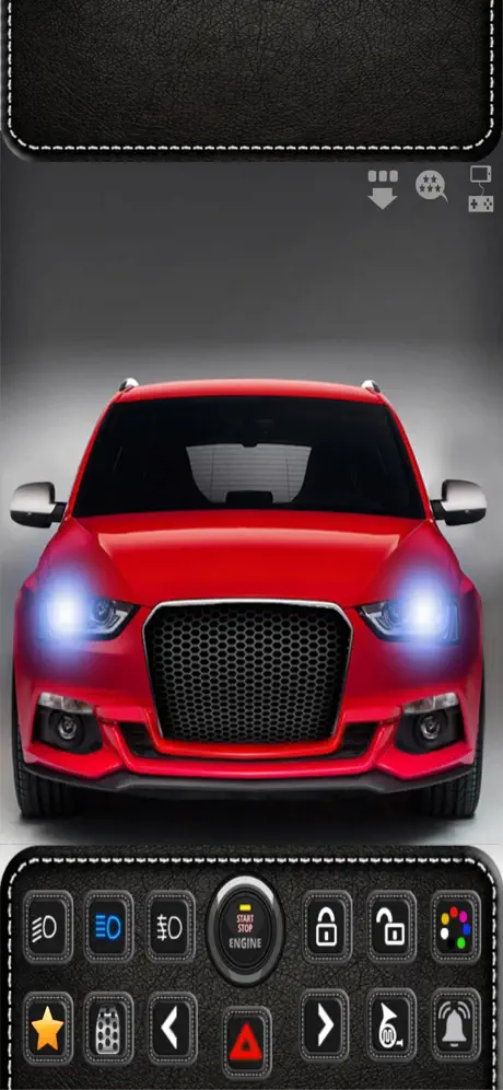 Private car experience