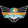 Steinbach Black Wings Linz icon
