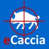 eCaccia