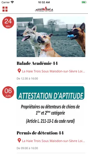 L'Académie Des Chiens screenshot 4