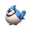 Fat Blue Jay Stickers App Icon