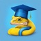 Are you ready to embark on a journey into the exciting world of Python programming