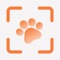 Moluhe: Pet Diary is a comprehensive application designed for pet owners who want to manage and document the important memories and information of their beloved pets