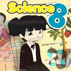 Levels of Organization