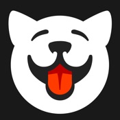 Dogr - Dog in Heat & Pregnancy