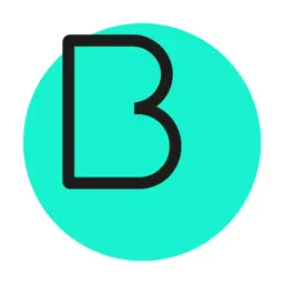Brainoom app icon