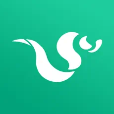 དུང་དུང་རོལ་དབྱངས།