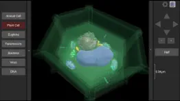 3d virtual cell iphone images 3