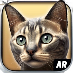 My Cat AR: Real Cat Simulator