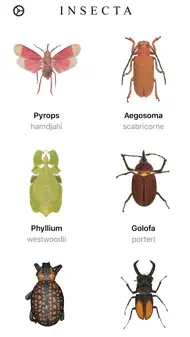 Insecta - Study Insects in AR iphone bilder 0