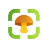 Get Mushroom Identifier for iOS, iPhone, iPad Aso Report