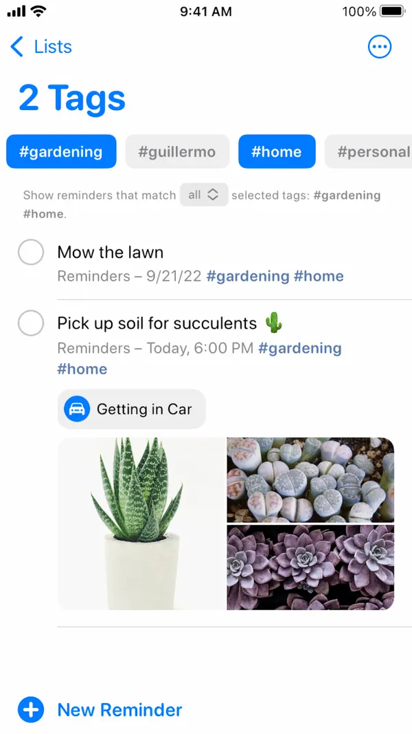 Apple Erinnerungen Screenshot 3