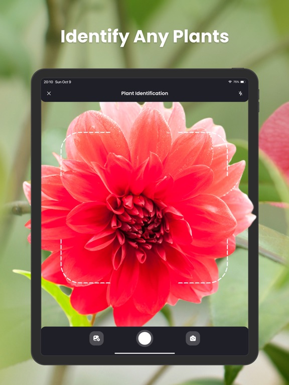 Screenshot #4 pour PlantIn・plantes reconnaissance