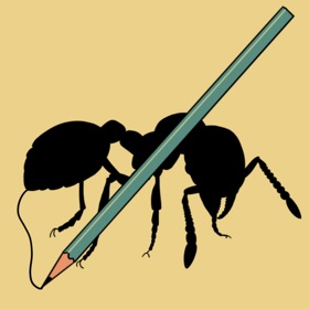 Observation Note