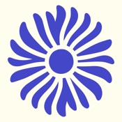 Mummi: 28 Day Life Reset