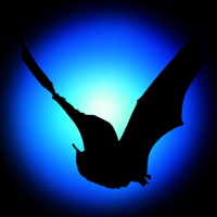 Bat Detector logo