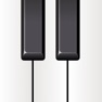 Get Piano Widget - 40+ Instruments for iOS, iPhone, iPad Aso Report