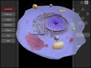 3d virtual cell ipad images 2