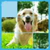 Jigsaw Puzzle - Slide Block icon