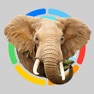 Get Real Animals 360 for iOS, iPhone, iPad Aso Report