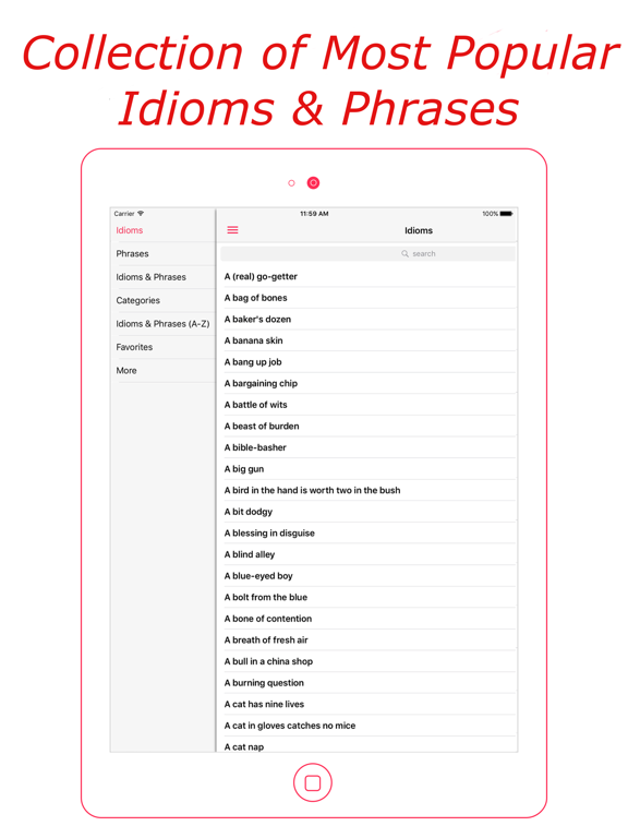 Screenshot #4 pour Idioms & Phrases (English)