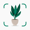 Plantify: Identificador Planta - Codeway Dijital Hizmetler Anonim Sirketi