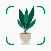 Plantify: Guía de Plantas