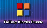 Falling Blocks Puzzle