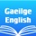 Irish English Dictionary +