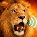Guess the Animal Sounds: Kids - App-Symbol