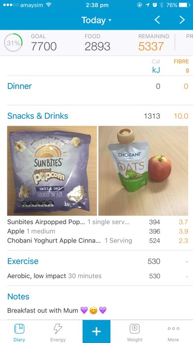 Easy Diet Diary iPhone screenshot 1