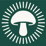 Forayz - Icono de la app