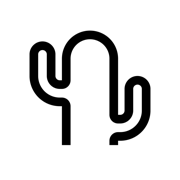 Cactus Chat
