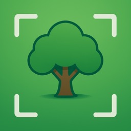 Tree Identifier゜