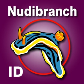 螢幕擷取畫面 (5) Nudibranch ID E Atlantic Med