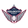 Velocity Baseball