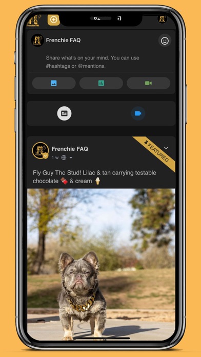 DogHouse: Puppy Finder Screenshot