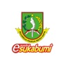 Get ePusda Sukabumi for iOS, iPhone, iPad Aso Report
