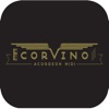 Corvino
