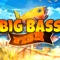 ### Big Fish Rush - Dive into the Ultimate Fishing Adventure