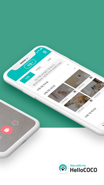 HelloCOCO - Pet CCTV, Pet Cam