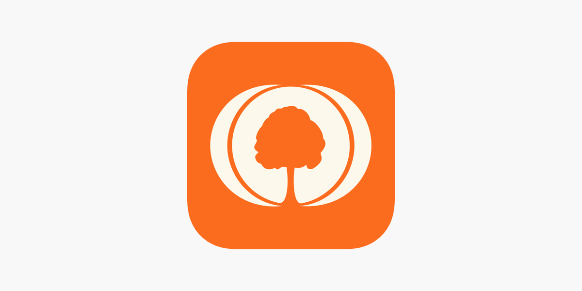 MyHeritage Reimagine product features