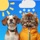 Weather Pet - Local Forecast