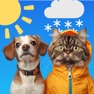 Get Weather Pet - Local Forecast for iOS, iPhone, iPad Aso Report