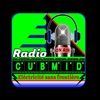 Radio Cubmid ESF
