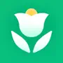 PlantLush: Identifier&Diagnose