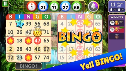 Screenshot #2 pour Bingo Star