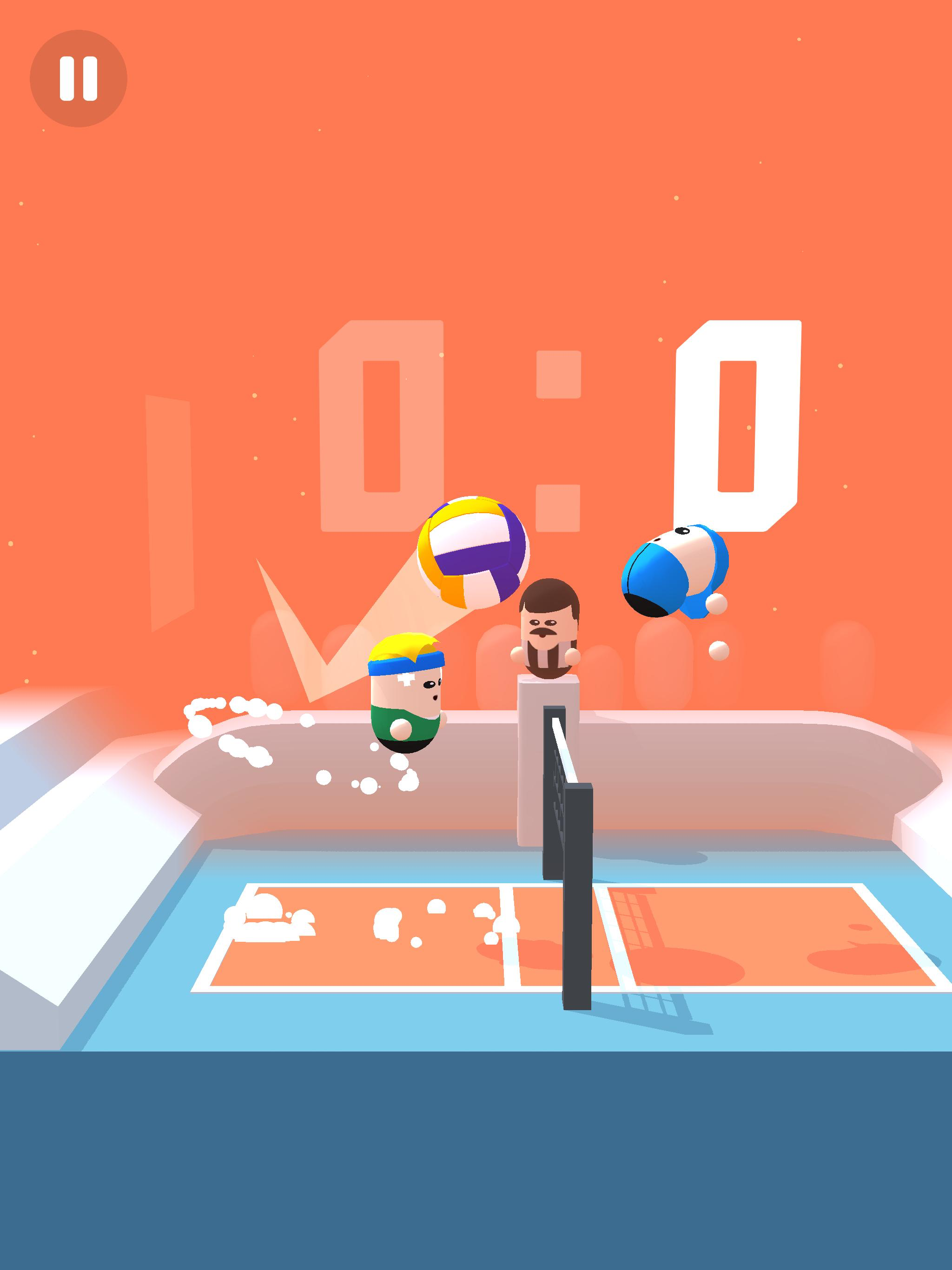 Volleyball Game - Volley Beans